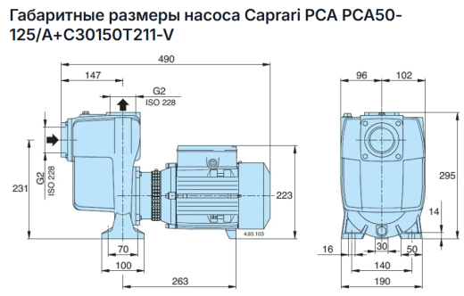 Самовсасывающий насос Caprari PCA50-125/A+C30150T211-V