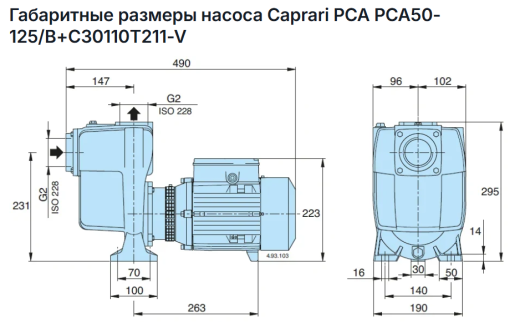 Самовсасывающий насос Caprari PCA50-125/B+C30110T211-V