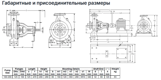 Насос Masdaf NM 100-200