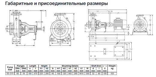 Насос Masdaf NM 50-315