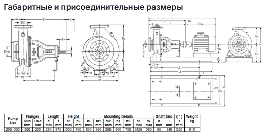 Насос Masdaf NM 250-500