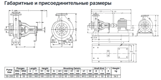Насос Masdaf NM 50-250